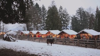 Il Mercatino di Natale Asburgico di Levico Terme [upl. by Reese]