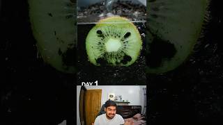 Kiwi Slice in Soil Time Lapse 😂 shorts [upl. by Niklaus]