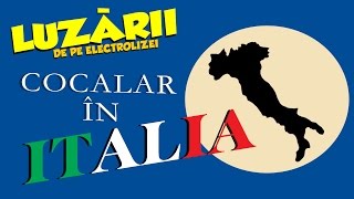 Cocalar in ITALIA Luzarii de pe Electrolizei 16 [upl. by Ahselef]