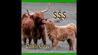 From pasture to profit How much can you make with Scottish Highland Cows [upl. by Titania]