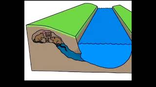 The geomorphology of a river [upl. by Ahsinor]