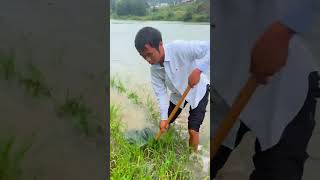 There are so many fish in this grass 这个草里面鱼真多 fishfood fishtrip Xiaomei fishingfun [upl. by Gustie11]