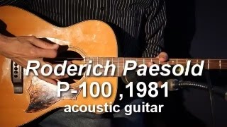 Roderich Paesold P100 Acoustic Guitar 1981 demo [upl. by Ellmyer820]