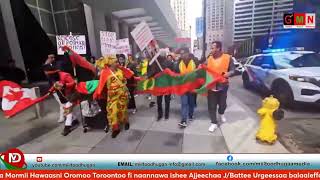 Ebla 20 2024 Hiriira Hawaasa Oromoo ToroontooPeaceful Oromo protest Toronto Canada [upl. by Htebiram]