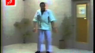 Tai Chi Chih Rocking Motion by Justin Stone [upl. by Niamreg220]