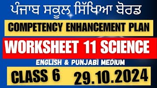 Class 6 SCIENCE Worksheet 11 solution 29102024 english and punjabi medium newszone39 [upl. by Aita]