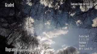 Samyang 12mm t22 Cine lens Gh4 test [upl. by Sueaddaht]