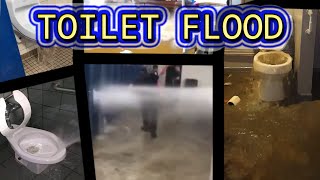 TOILET FLOOD COMPILATION [upl. by Ydarb]