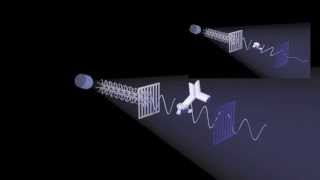 Fluorescence Polarization [upl. by Rida]