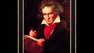 Ludwig Van Beethoven  5th Symphony [upl. by Cann947]