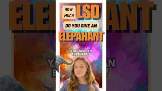 Giving LSD to an elephant  did not end well [upl. by Winn605]