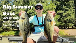 Catching HUGE Largemouth and Spotted Bass  Summer Spotted Bass Fishing [upl. by Olenolin740]