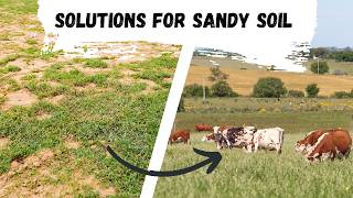 Solutions For Improving Sandy Soils [upl. by Roice]