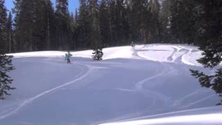 Snowbird Cat Skiing [upl. by Rufina]