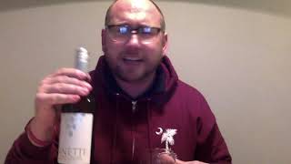 WineGuyWiz Review1  Pinetti Noite Red Zin  2018 [upl. by Gilberta140]