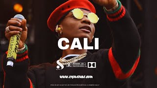 Wizkid Ft Burna Boy x Afro Typebeat  Afrobeat instrumental 2024 quotCALIquot [upl. by Yortal]