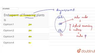 Endosperm of flowering plants is [upl. by Mccourt]