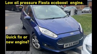 Ford Fiesta 10 Ecoboost part 1 death rattle can it be saved or is a new engine required [upl. by Quartas]