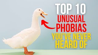 TOP 10 UNUSUAL PHOBIAS YOUVE NEVER HEARD OF [upl. by Stover]