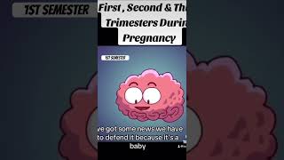 Pregnancy trimesters part 1 trimester 1 [upl. by Sidoney]