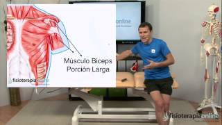 Tratamiento de tendinitis o tendinosis del hombro  Fisioterapia Bilbao [upl. by Mehalick]