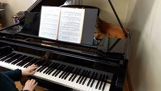 Franz Liszt Liebestraum op 623 Tutorial Takt 123 [upl. by Bein676]