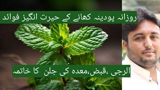 Health Benefits Of Mint leaves  Boost Digestion Naturally  Podina ke Fawaid  MINT LEAVES  Energy [upl. by Ecila]