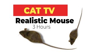 CAT GAMES  Realistic Mouse HD  3 HOURS Video for Cats amp Dogs to watch [upl. by Anrehs193]