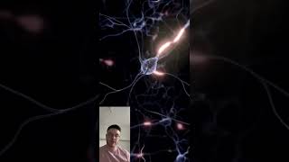 How Neurons Connect AxontoNeuron Communication Explained neuro shorts [upl. by Grosmark770]