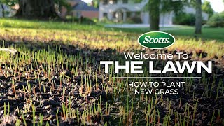 Welcome To The Lawn How to Plant New Grass [upl. by Locin232]