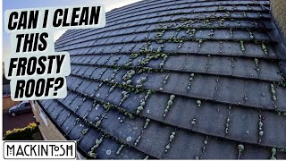 Frosty Roof Clean [upl. by Ellebyam]