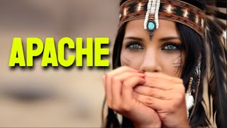 APACHE HARMONICA  C DIATONIC  ARMÓNICA C TABS BLUES HARP C GAITA DE BOCA C MUNDHARMONIKA C [upl. by Buiron61]