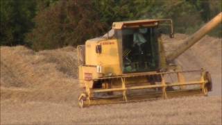 New Holland 8060 Harvesting Wheat [upl. by Assela]