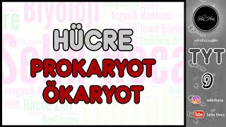 11 Hücre Prokaryot  Ökaryot [upl. by Oetam]