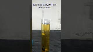 UrinometerSpecific GravityUrine TestSpGUrine specific gravitypracticle Urinometerdemonstration [upl. by Karalynn]