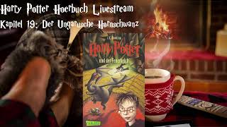 Harry Potter und der Feuerkelch LIVESTREAM Deutsch 7 podcast Harry Potter Hörbuch zum Einschlafen [upl. by Airdnna]