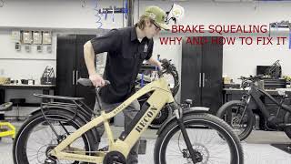 Brake Squealing Why and How to Fix it [upl. by Yovonnda]