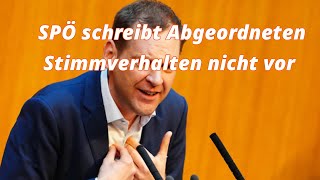 SPÖ schreibt Abgeordneten Stimmverhalten nicht vor [upl. by Irvin]