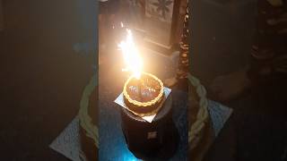 Happy birthday celebrations🥳🥳🥳 shortvideo birthdaycelebration [upl. by Kamilah638]