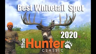 theHunter Classic  Best Whitetail Spot [upl. by Ynnaj]