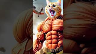 Cat gym lover 😍cat shorts 1million trending hiphop [upl. by Elbart850]