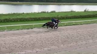 Coinvest O breezes at Palm Beach Downs Jan 13 [upl. by Marv]