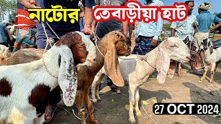 নাটোর তেবাড়ীয়া হাটের আপডেট । ছাগল ভেড়া গাড়লের দাম জানুন [upl. by Ahasuerus230]