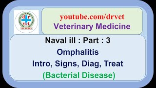 Naval ill Part 3  omphalitis  introduction signs diagnosis treatment [upl. by Sitoiyanap]