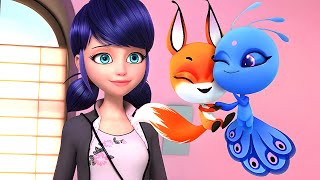 The Best Kwami Relationships In Miraculous Ladybug [upl. by Janie204]