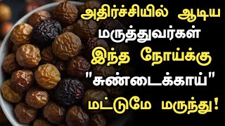 சுண்டைக்காயின் அதிர்ச்சி தகவல்  Health Benefits of Sundakkai in Tamil Sundakkai Uses  Tamil News [upl. by Lashonda]