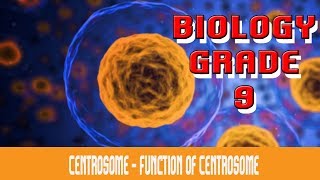 The Cell  Centrosome  Functions  Is Centrosome amp Centriole The Same Thing  Part 21 [upl. by Treharne]