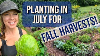 Seeds to Plant in July for a Fall Harvest Zone 6 [upl. by Sheline298]