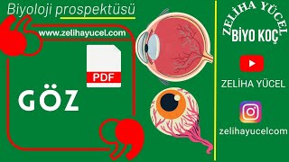 Duyu Organları  GÖZ ayt sistemler [upl. by Kruse]