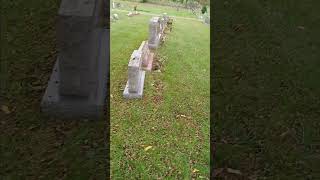 Do grave yard ghosts really exist We shall find out using scientific means [upl. by Ayarahs44]